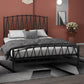 Glam Iron Frame Bed with Open-Frame Arched Headboard and Metal Legs
