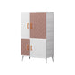 Plastic Matte Finish Storage Cabinet Contemporary Hinged Door Cabinet for Bedroom