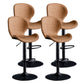 Scandinavian Metal Barstool Low Back Leather Barstools in Matte Finish for Indoor