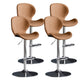 Scandinavian Metal Barstool Low Back Leather Barstools in Matte Finish for Indoor