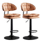 Scandinavian Metal Barstool Adjustable Low Back Leather Barstools in Matte Finish Brown Black 2 Piece Set Clearhalo 'Bar Furniture' 'Bar Stools' 'bar_stools' 'furn' 'furn_bar_stools' 'Furniture' 'Kitchen & Dining Furniture' 5816982