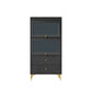 Armoire contemporaine à 2 tiroirs en bois noir, armoire à accent rectangle