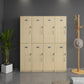 Natural Finish Cabinet with Hinged Door Contemporary Interior Storage Cabinet