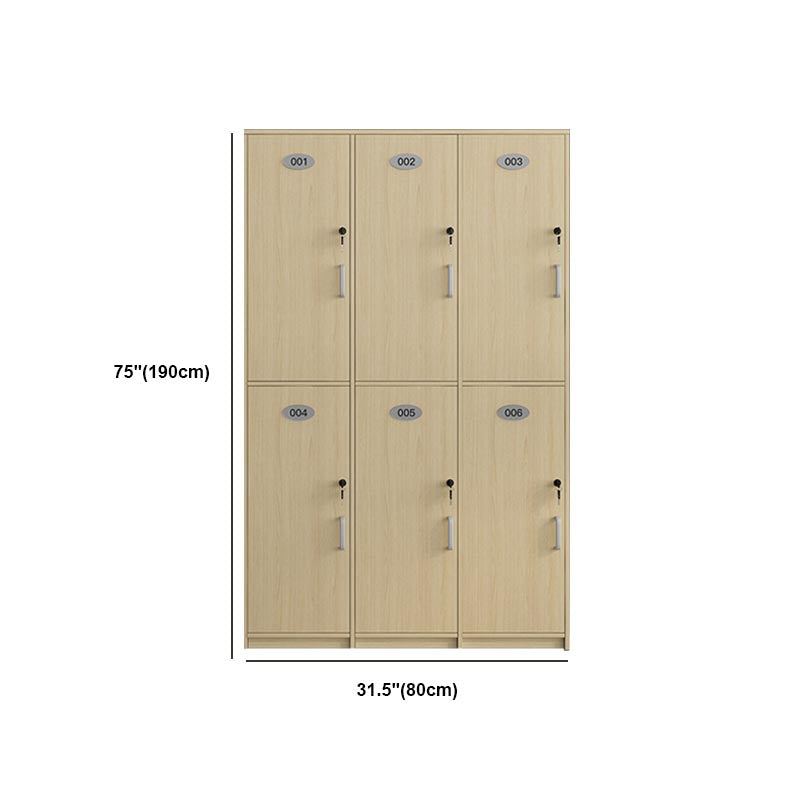 Natural Finish Cabinet with Hinged Door Contemporary Interior Storage Cabinet