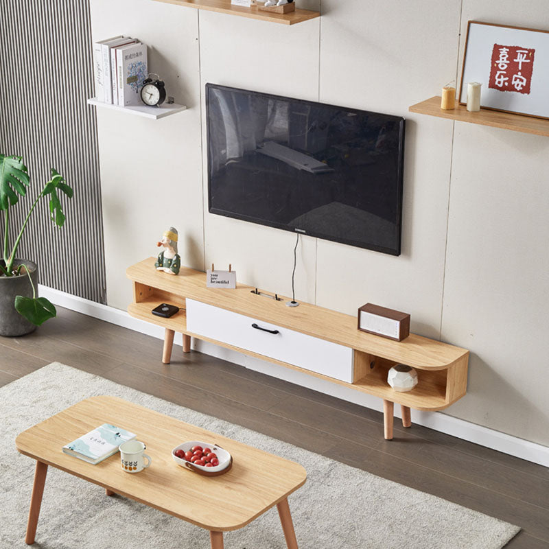 Wooden Media Console TV Stand Contemporary TV Media Stand with Door Clearhalo 'furn' 'furn_tv_stands_entertainment_centers' 'Furniture' 'Living Room Furniture' 'TV Stands & Entertainment Centers' 'TV Stands & Media Storage Furniture' 'tv_stands_entertainment_centers' 5833795