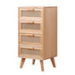 Contemporary Wooden Chest, Rectangle Accent Chest with Drawers