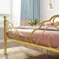 Glam Open-Frame Bed with Iron Headboard and Footboard 49.21" High