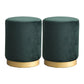Modern Scratch Resistant Standard Round Velvet Indoor Standard