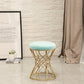 Glam Velvet Ottoman Plain Round Metal Frame Foot Stool Ottoman Clearhalo 'furn' 'furn_ottomans_poufs' 'Furniture' 'Living Room Furniture' 'Ottomans & Poufs' 'ottomans_poufs' 5852013