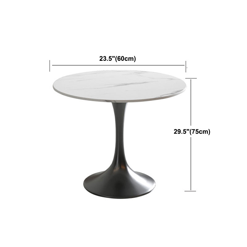 Black Metal Base Traditional Luxury Round Table Sintered Stone Dining Table with Pedestal Clearhalo 'Dining Tables & Seating' 'Dining Tables' 'dining_table' 'furn' 'furn_dining_table' 'Furniture' 'Kitchen & Dining Furniture' 5862635