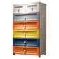 Plastic Storage Cabinet Contemporary Wardrobe Cabinet with Drawer for Home
