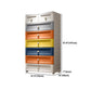 Plastic Storage Cabinet Contemporary Wardrobe Cabinet with Drawer for Home