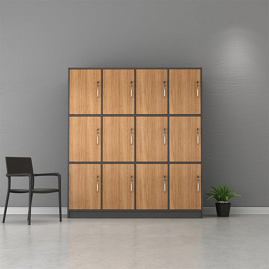 Contemporary Brown Storage Cabinet Manufactured Wood Hinged Door Cabinet