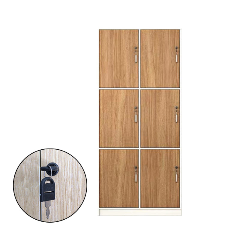 Armoire de rangement brun contemporain fabriqué en bois à charnière armoire à porte à charnière