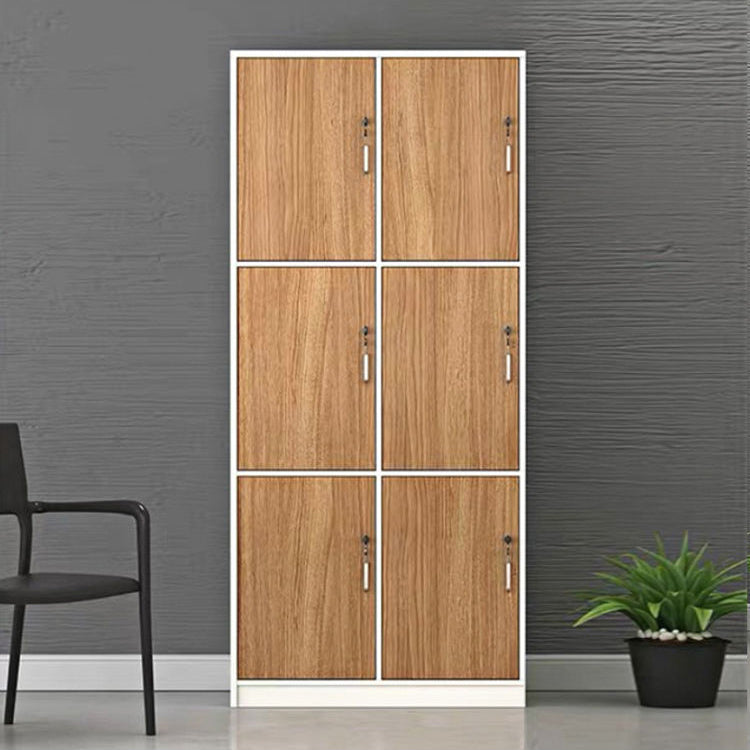 Armoire de rangement brun contemporain fabriqué en bois à charnière armoire à porte à charnière