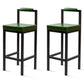 Modern 1/2/5/6/9 Pieces Rectangular Pub Table Set Wooden Counter Table for Dining Room Green 30"H Stools (Set of 2) Clearhalo 'Bar Furniture' 'furn' 'furn_home_bar_bar_sets' 'Furniture' 'Home Bars & Bar Sets' 'home_bar_bar_sets' 'Kitchen & Dining Furniture' 5878104