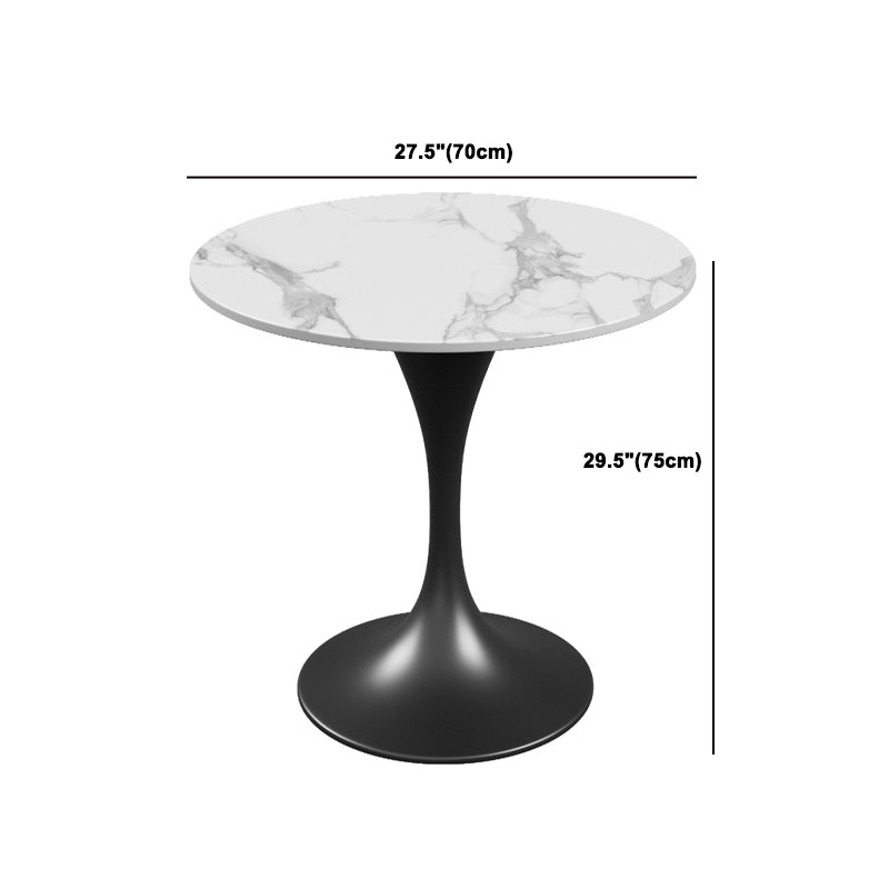 Modern Style Sintered Stone Dining Set Round 1/3/4/5 Pieces Dining Set for Home Use Clearhalo 'Dining Room Sets' 'Dining Tables & Seating' 'dining_room_set' 'furn' 'furn_dining_room_set' 'Furniture' 'Kitchen & Dining Furniture' 5878508