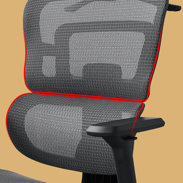 Sedia da ufficio di supporto lombare contemporaneo sedia da scrivania ad alta schiena