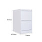 Modern Vertical Filing Cabinet Metal Filing Cabinet with Lock and Storage Clearhalo 'Filing Cabinets' 'filling_cabinets' 'furn' 'furn_filling_cabinets' 'Furniture' 'Office Furniture' 5884438