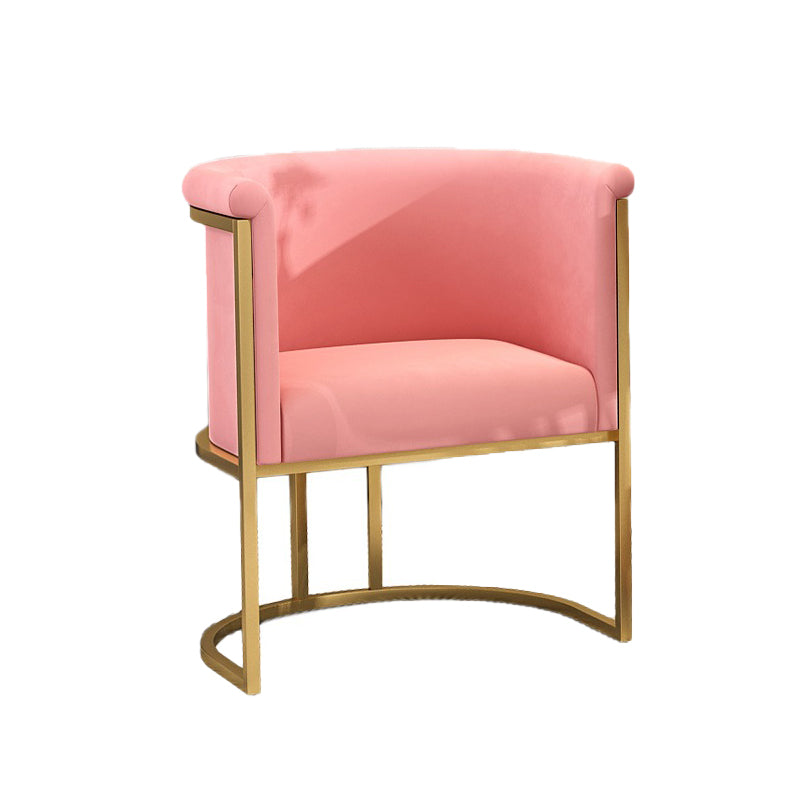 Nordic Arms Included with Goldtone Legs Fixed Back Accent Armchair Pink 1 Piece Clearhalo 'Accent Chairs' 'accent_chairs' 'Chairs & Seating' 'furn' 'furn_accent_chairs' 'Furniture' 'Living Room Furniture' 5889455