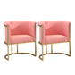 Nordic Arms Included with Goldtone Legs Fixed Back Accent Armchair Pink 2 Piece Set Clearhalo 'Accent Chairs' 'accent_chairs' 'Chairs & Seating' 'furn' 'furn_accent_chairs' 'Furniture' 'Living Room Furniture' 5889457