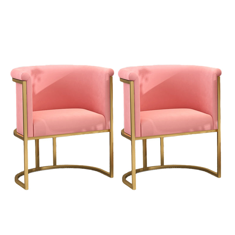 Nordic Arms Included with Goldtone Legs Fixed Back Accent Armchair Pink 2 Piece Set Clearhalo 'Accent Chairs' 'accent_chairs' 'Chairs & Seating' 'furn' 'furn_accent_chairs' 'Furniture' 'Living Room Furniture' 5889457