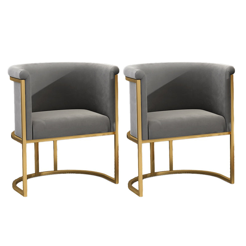Nordic Arms Included with Goldtone Legs Fixed Back Accent Armchair Grey 2 Piece Set Clearhalo 'Accent Chairs' 'accent_chairs' 'Chairs & Seating' 'furn' 'furn_accent_chairs' 'Furniture' 'Living Room Furniture' 5889461