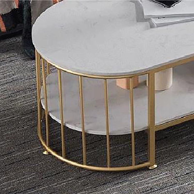 Glam Oval Coffee Table with Marble Top and Storage Shelf and Steel Base