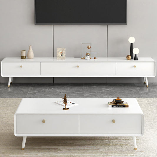 Solid Wood 13.78" H TV Stand Nordic 2 Drawers TV Stand Console Clearhalo 'furn' 'furn_tv_stands_entertainment_centers' 'Furniture' 'Living Room Furniture' 'TV Stands & Entertainment Centers' 'TV Stands & Media Storage Furniture' 'tv_stands_entertainment_centers' 5890972