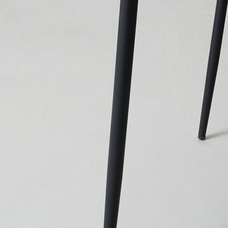 Metal Modern Dining Chair with Solid Back Matte Finish Indoor Side Chair