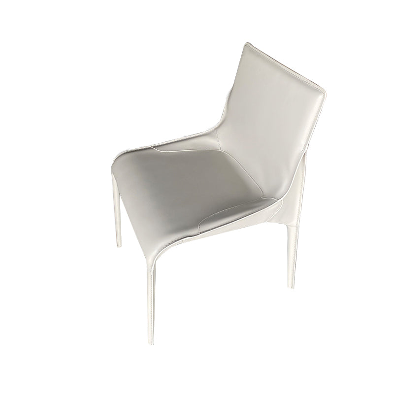 Metal Modern Dining Chair with Solid Back Matte Finish Indoor Side Chair