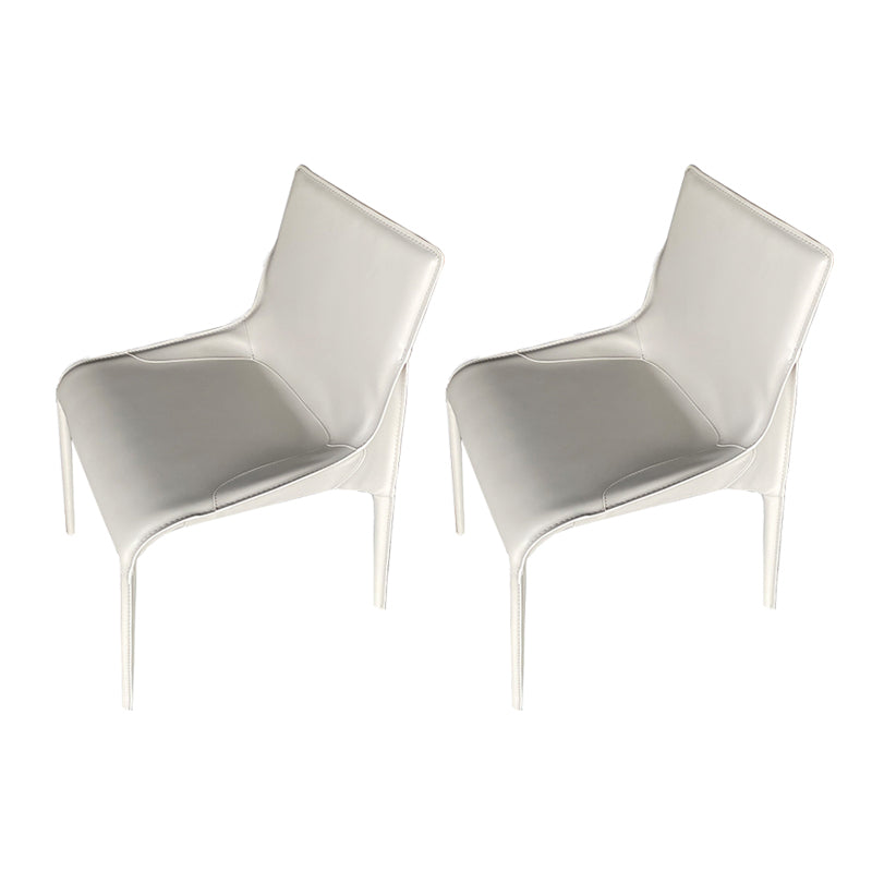 Metal Modern Dining Chair with Solid Back Matte Finish Indoor Side Chair