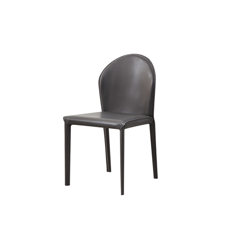 Contemporary Kitchen Dining Side Chair Matte Finish Dining Chair Clearhalo 'Dining Chairs' 'Dining Tables & Seating' 'dining_chair' 'furn' 'furn_dining_chair' 'Furniture' 'Kitchen & Dining Furniture' 5898220