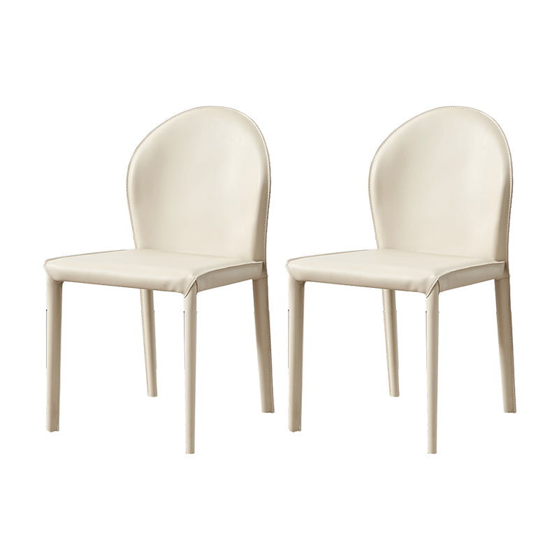 Contemporary Kitchen Dining Side Chair Matte Finish Dining Chair Beige 2 Piece Set Clearhalo 'Dining Chairs' 'Dining Tables & Seating' 'dining_chair' 'furn' 'furn_dining_chair' 'Furniture' 'Kitchen & Dining Furniture' 5898235