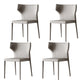 Matte Finish Dining Chair for Home Metal Modern Indoor Side Chair