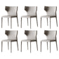 Matte Finish Dining Chair for Home Metal Modern Indoor Side Chair