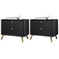 Solid Wood Accent Table Nightstand Glam Night Table with 2-Drawer Black 2 Piece Set Clearhalo 'Bedroom Furniture' 'furn' 'furn_night_stand' 'Furniture' 'night_stand' 'Nightstands' 5906799