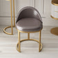 Glam Metal Dining Room Chair Upholstered Armless Dining Chairs for Home Use Clearhalo 'Dining Chairs' 'Dining Tables & Seating' 'dining_chair' 'furn' 'furn_dining_chair' 'Furniture' 'Kitchen & Dining Furniture' 5922539