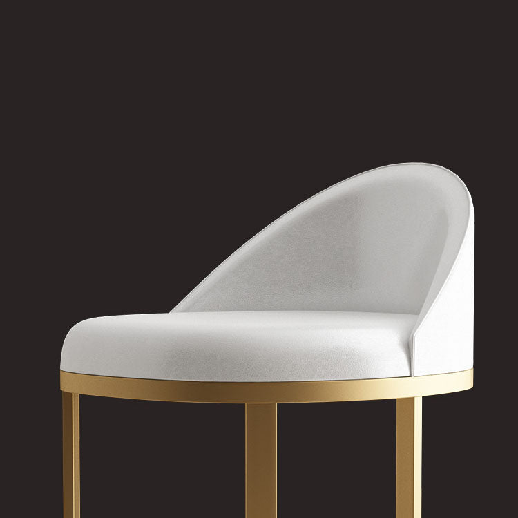 Glam Metal Dining Room Chair Upholstered Armless Dining Chairs for Home Use Clearhalo 'Dining Chairs' 'Dining Tables & Seating' 'dining_chair' 'furn' 'furn_dining_chair' 'Furniture' 'Kitchen & Dining Furniture' 5922546