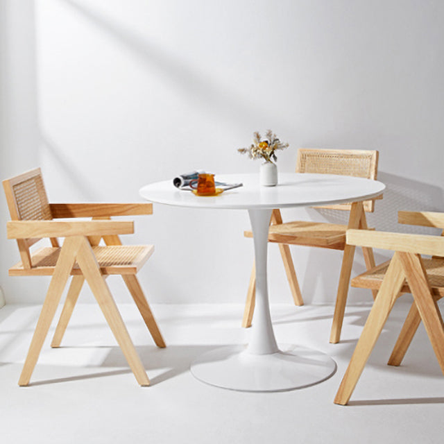 Eigentijdse stoelen stoelen voor de stoel met houten benen voor keuken