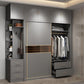 Contemporary Glass Wardrobe Gray Colour Wardrobe Closet with Garment Rod