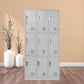 Contemporary Hinged Wardrobe Armoire Steel Wardrobe Cabinet for Home