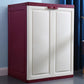Plastic Matte Finish Storage Cabinet for Bedroom Contemporary Hinged Door Cabinet