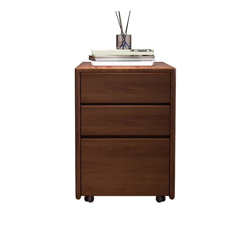 Solid Wood Bedside Cabinet Modern Minimalist Bedside Table with Drawers