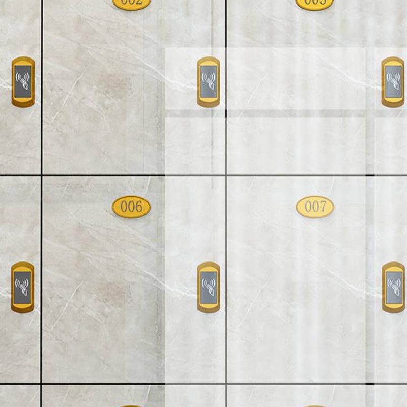 Moderne gespiegelde afwerking Niet-hangende armoire vervaardigde houten opbergkast