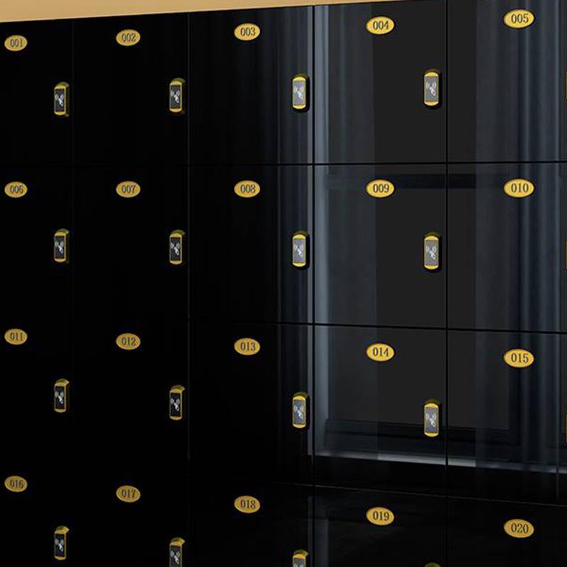 Moderne gespiegelde afwerking Niet-hangende armoire vervaardigde houten opbergkast