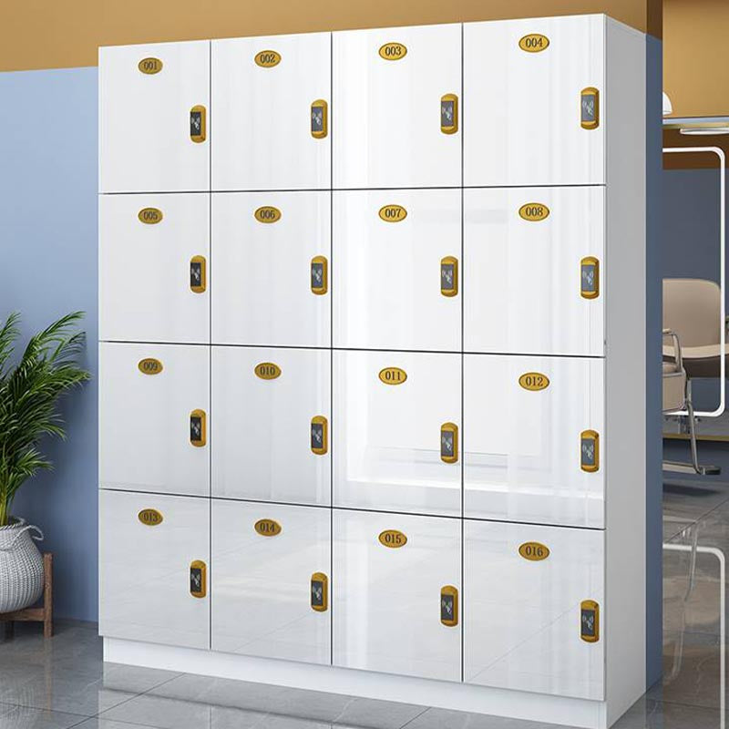 Moderne gespiegelde afwerking Niet-hangende armoire vervaardigde houten opbergkast