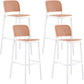 Scandinavian Plastic Barstool Plastic Furniture Rectangle Seat in Matte Finish