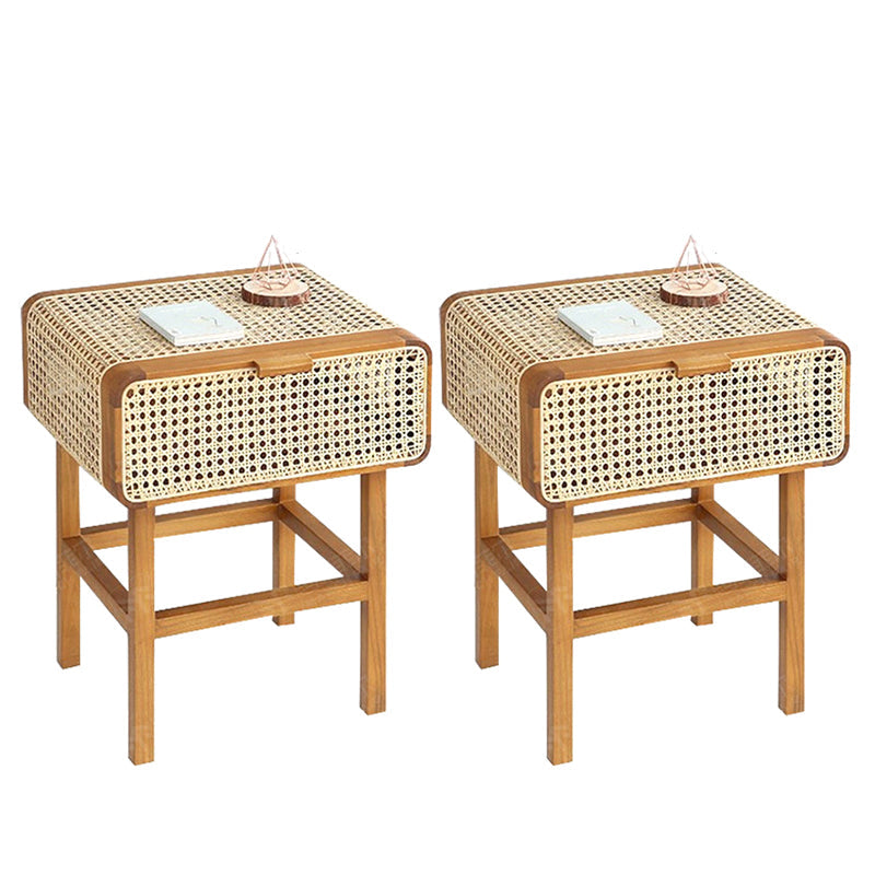 Contemporary Lower Shelf Nightstand Wooden Bedside Cabinet with Door for Bedroom Nut-Brown 2 Piece Set Clearhalo 'Bedroom Furniture' 'furn' 'furn_night_stand' 'Furniture' 'night_stand' 'Nightstands' 5949536