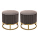 Modern Pouf Ottoman Velvet Upholstered Tear Resistant Round Ottoman with Chair Legs Gray 2 Piece Set Clearhalo 'furn' 'furn_ottomans_poufs' 'Furniture' 'Living Room Furniture' 'Ottomans & Poufs' 'ottomans_poufs' 5956023